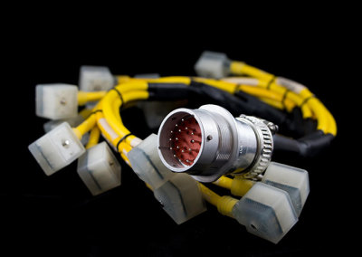 Black and Yellow Wire Harness